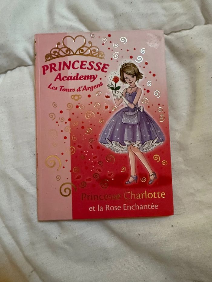 Lot 9 livres Princess Academy - photo numéro 8