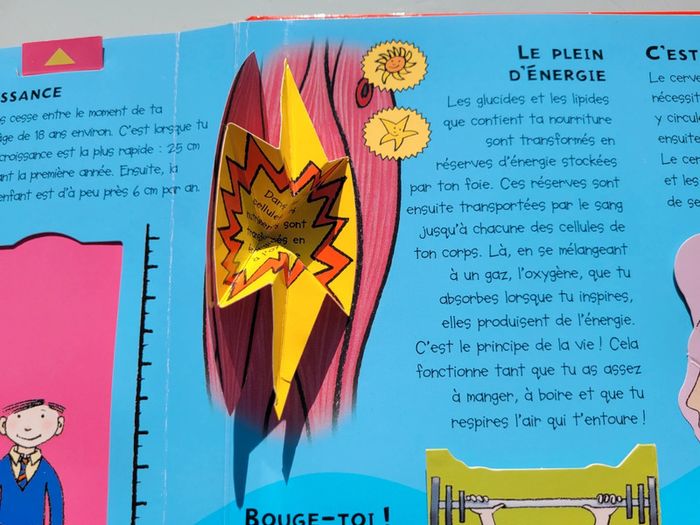 Livre animé Pop-up, tirettes, roues.. Le Livre des Croc, Crunch, Slurp! - photo numéro 17