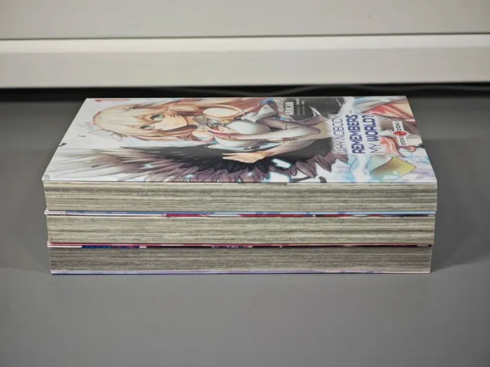 Lot Manga Why Nobody Remembers my World ? 1 à 3 VF - photo numéro 5