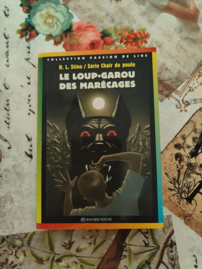 Livre chair de poule 13 - photo numéro 1