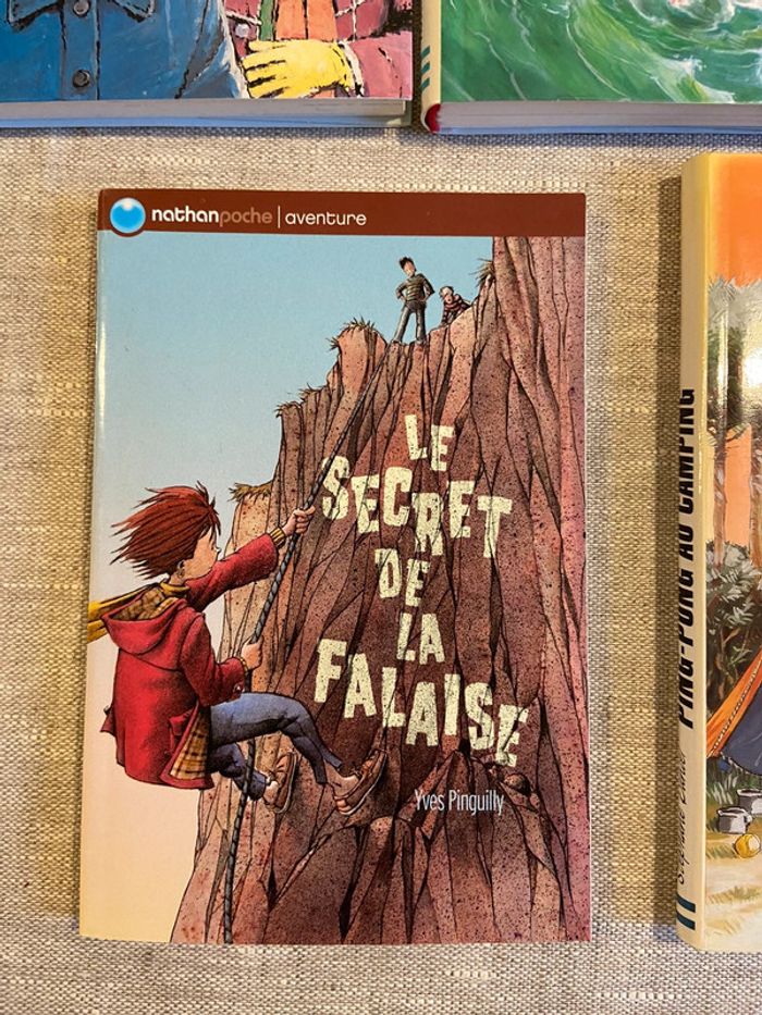 Lot de cinq romans jeunesse lecteurs 10/12 ans - photo numéro 6