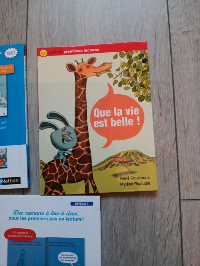 Lot de 3 livres Premières lectures Nathan - photo numéro 6