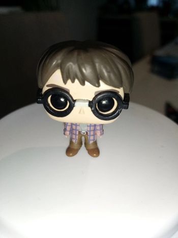 Mini pop Harry Potter