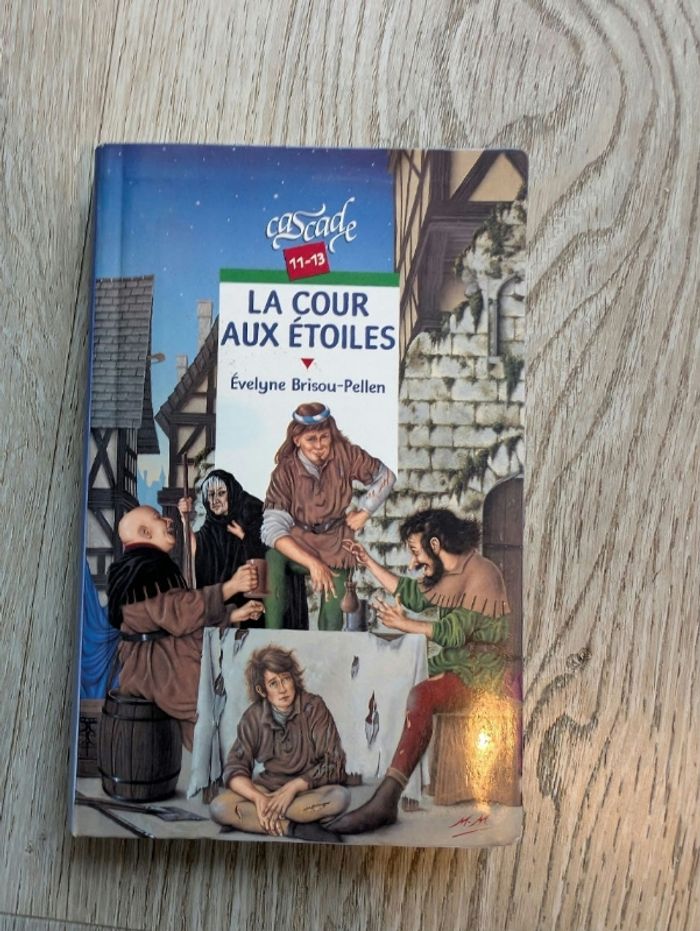 Livre la cour aux étoiles