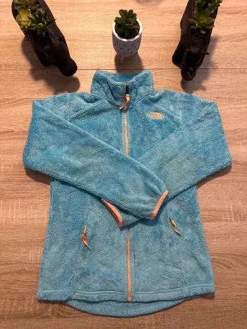 Polaire the north face