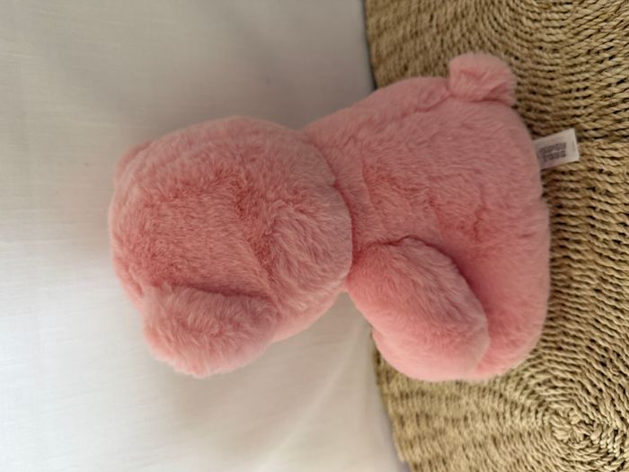 Ourson My sweet teddy rose - photo numéro 3