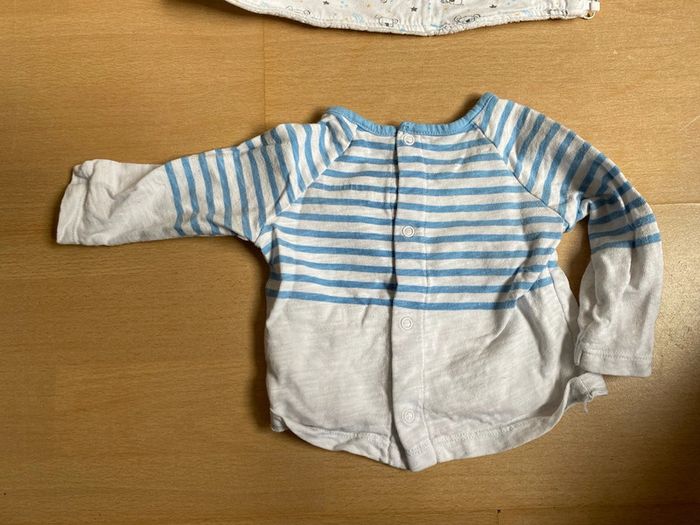 Ensemble koala - photo numéro 10