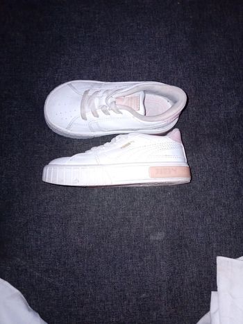 Basket puma