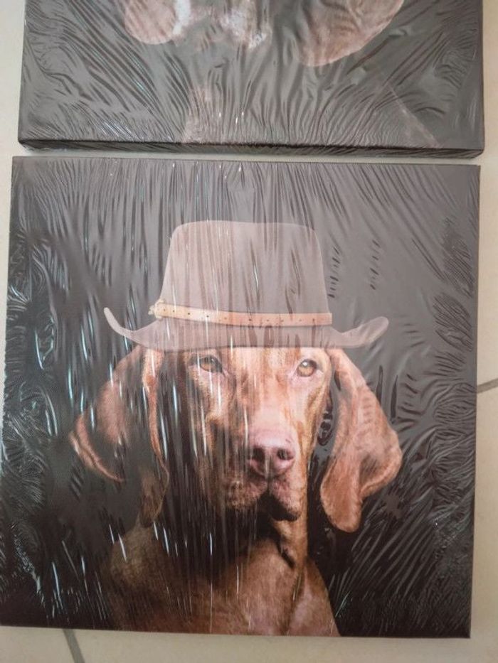 Lot de deux tableaux chiens