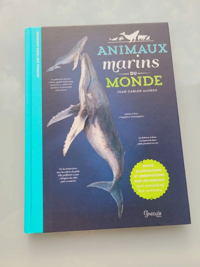 Très beau livre grand format : 🦈 Les Animaux Marins du Monde 🐋 Grenouille éditions - photo numéro 2