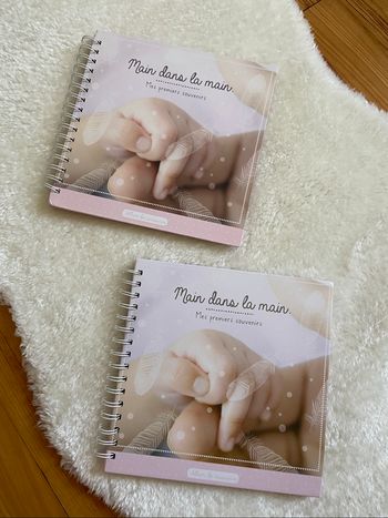 Lot de 2 albums photo