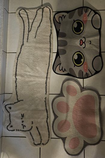 Tapis chats