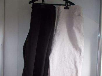 2 pantacourt taille 46