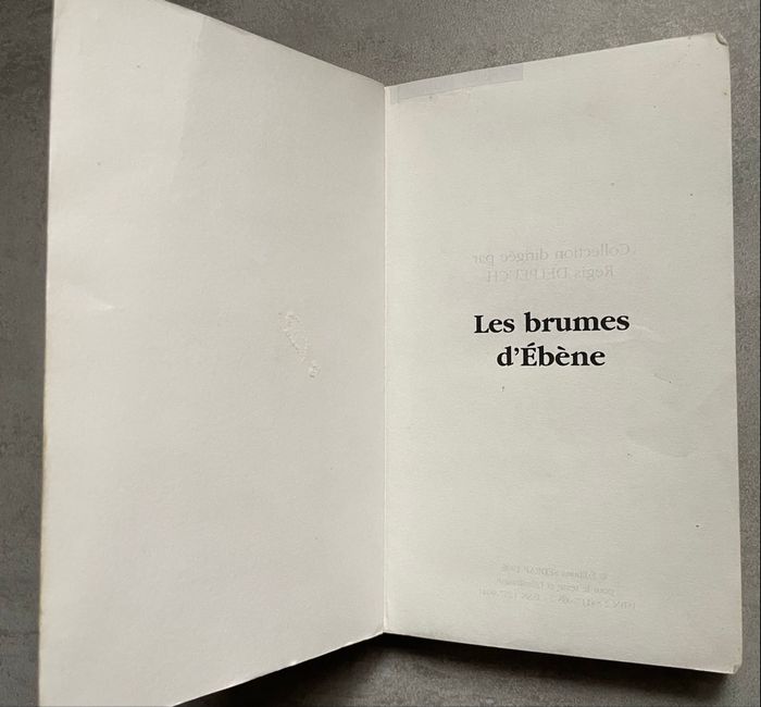 Livre les brumes d’ébène - photo numéro 4