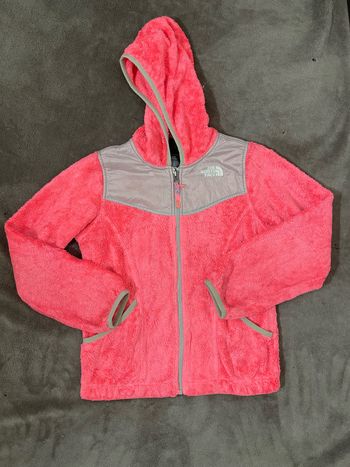 veste the north face