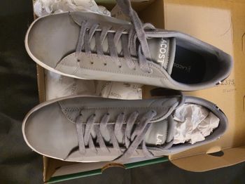 Baskets grises LACOSTE mixtes