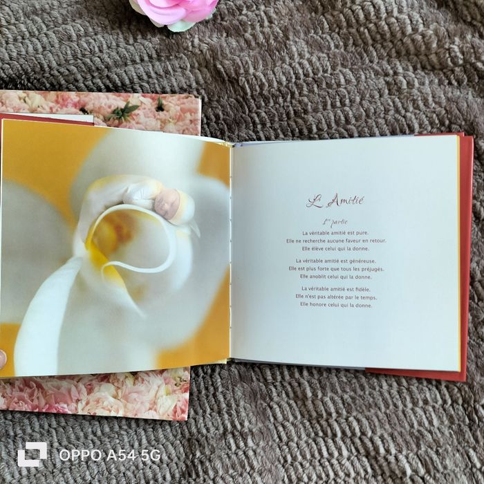 2 livres Anne Geddes - photo numéro 8