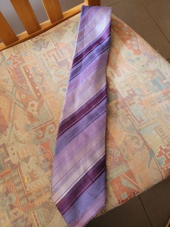 Cravate polyester Delaveine