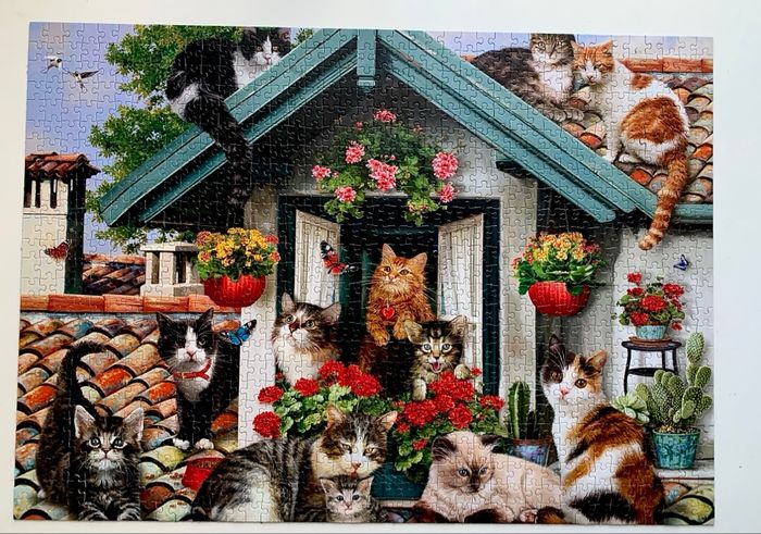 Puzzle chats 1000 pièces - photo numéro 2