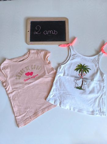 Lot de 2 t-shirts taille 2 ans en très bon état