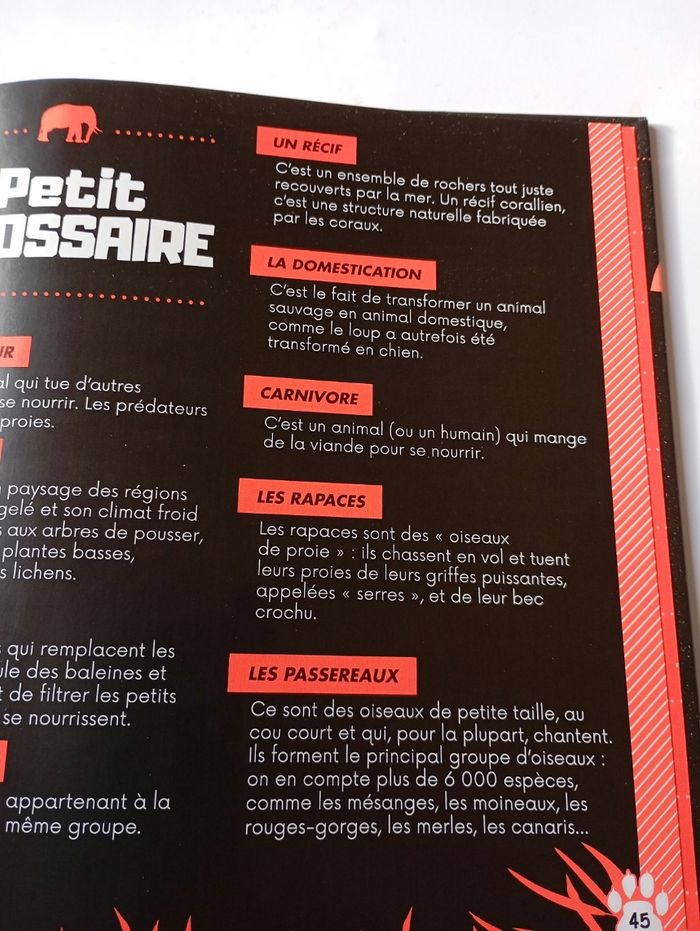 Dis pourquoi : les animaux sauvages - photo numéro 4