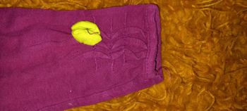 Leggings orchestra idéal change