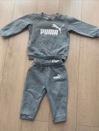 Ensemble Puma