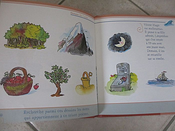 Livre Victor Hugo – 7 Poèmes en Délire - photo numéro 5