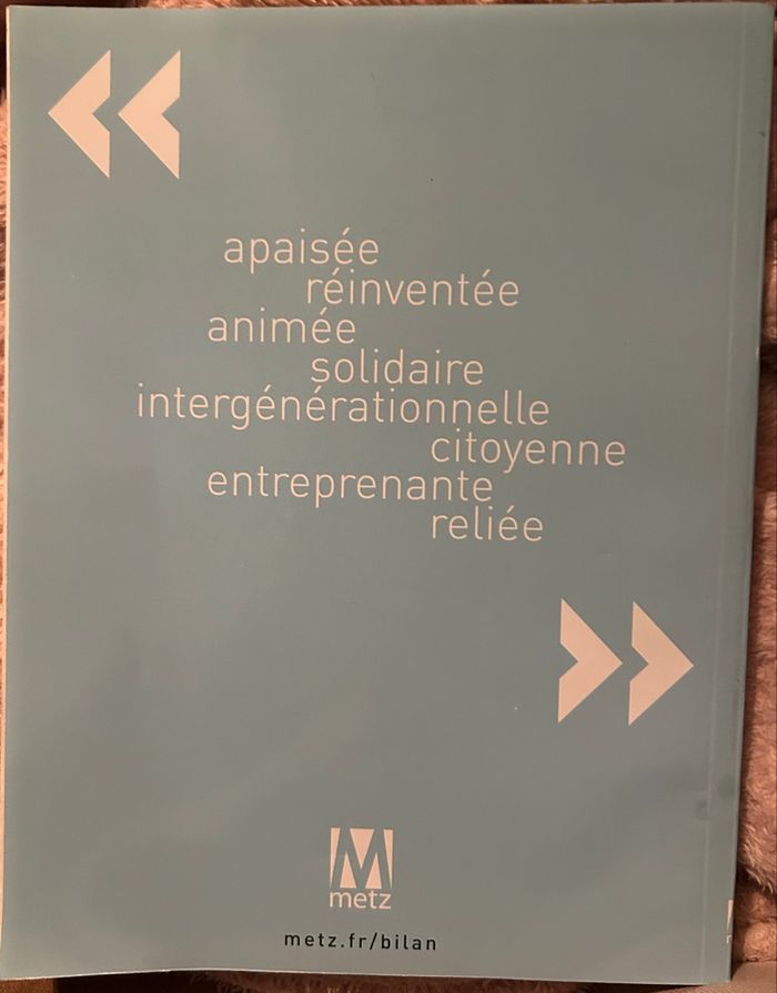 Metz Une Ville En Actions - photo numéro 2