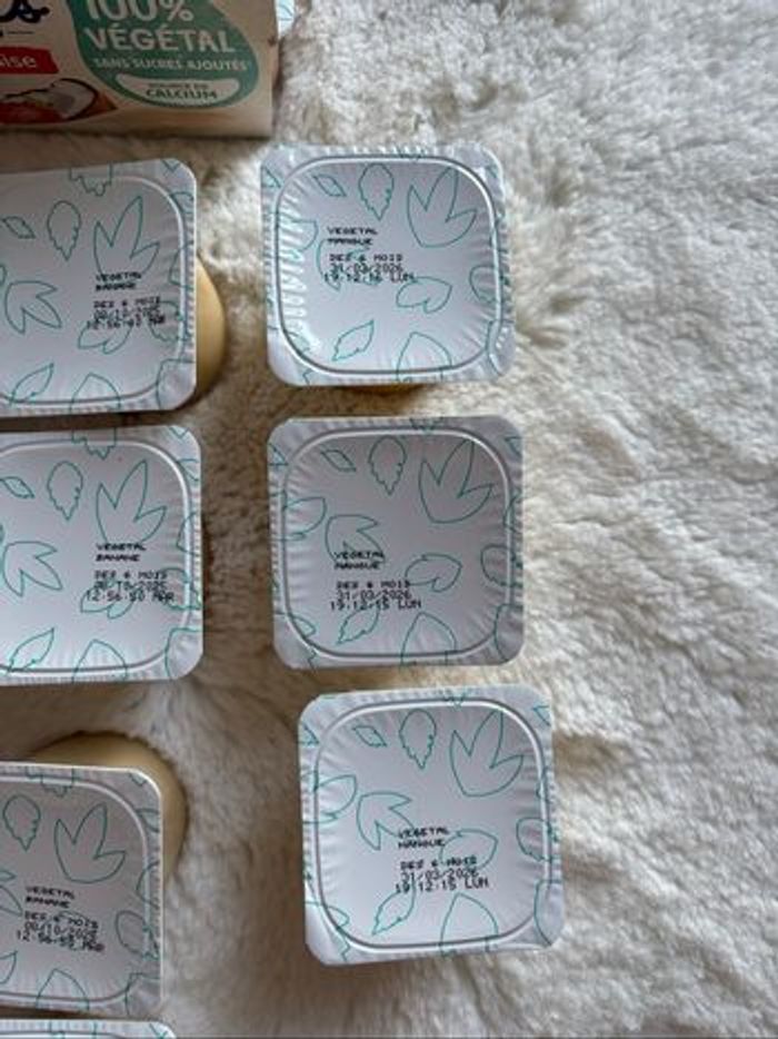 Yaourts végétaux au lait de coco - photo numéro 4