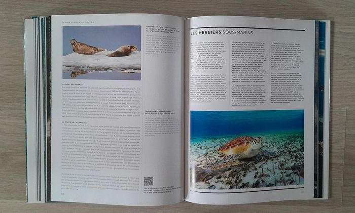 L'homme et la mer fondation goodplanet - photo numéro 10