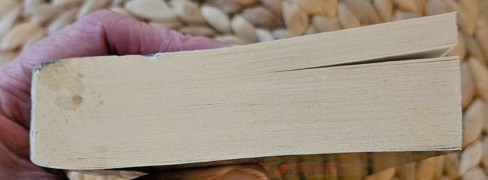 Livre d'Agnes Ledig Se le dire enfin - photo numéro 4