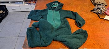 Pilou dinosaure garçon 8 ans