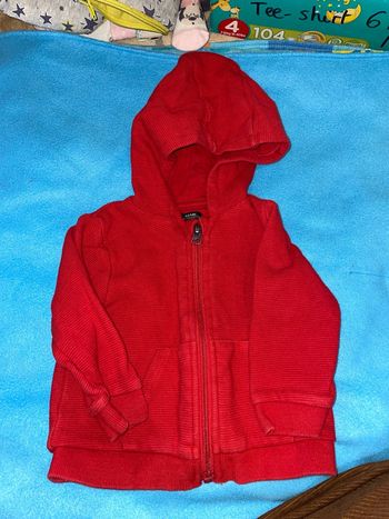 Gilet à capuche