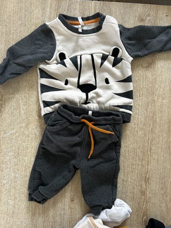 Ensemble Orchestra Tigre - 6 mois