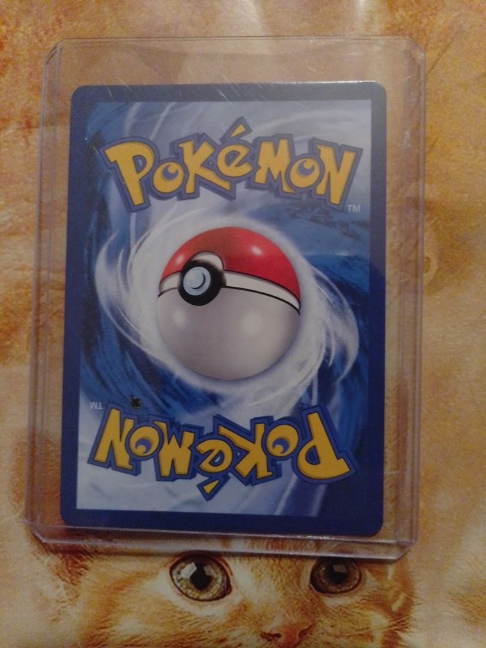 Charizard V Shiny 079/073 – Shining Fates – Carte Pokémon Rare Neuve – Full Art Holo - photo numéro 2