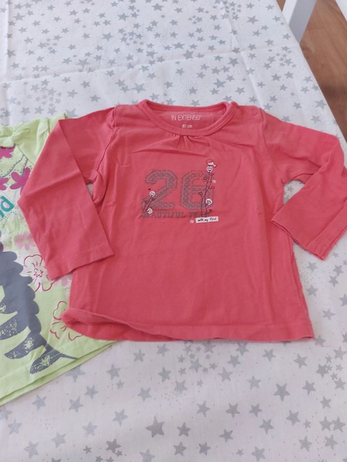 Lot 2 Tee-shirt 18 mois - photo numéro 3