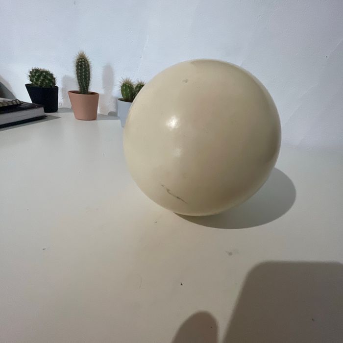 Œuf d’autruche - photo numéro 5