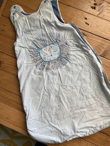 Gigoteuse turbulette lion