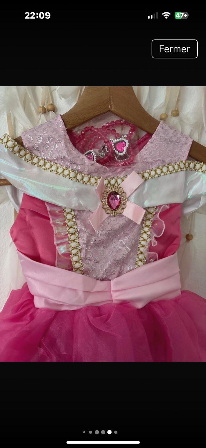 Robre princesse - photo numéro 2