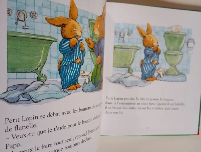 Petit lapin : le pipi au lit - photo numéro 3