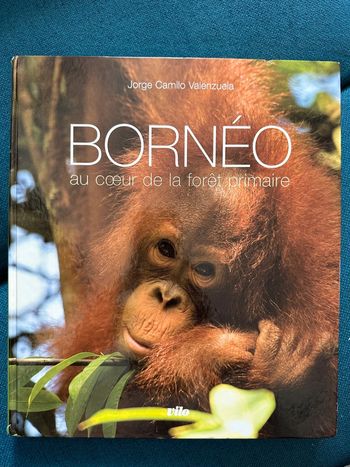 Livre Bornéo au cœur de la forêt primaire Vilo Jorge Camilo Valenzuela orangs-outans