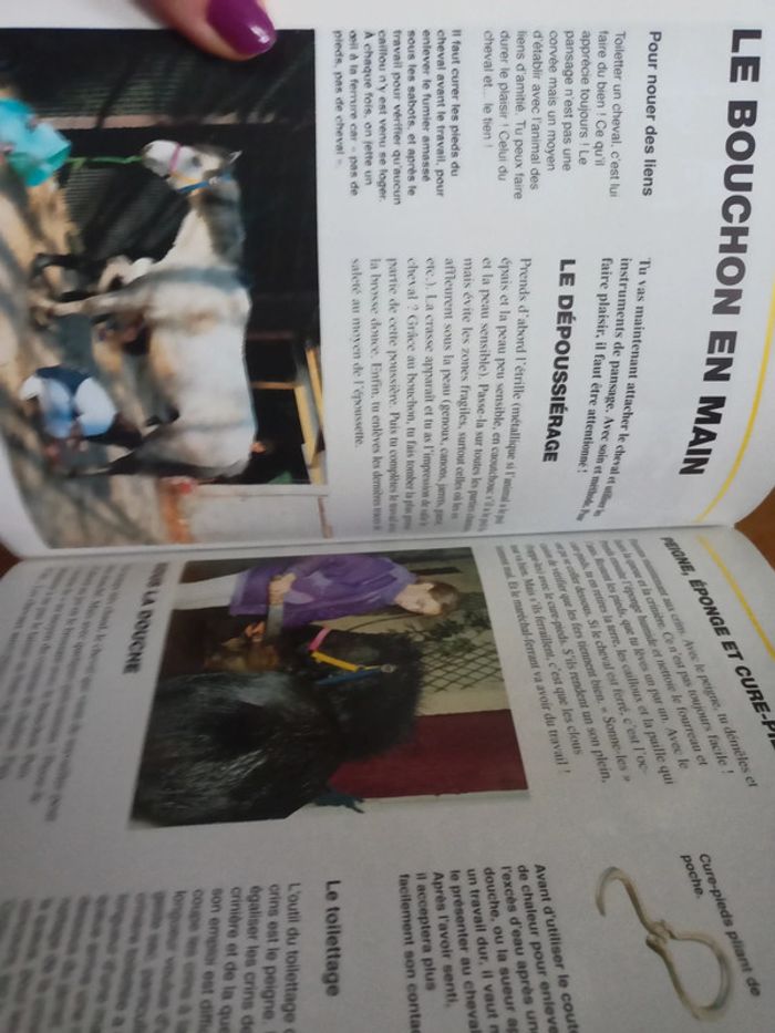 Livre copain des chevaux - photo numéro 3