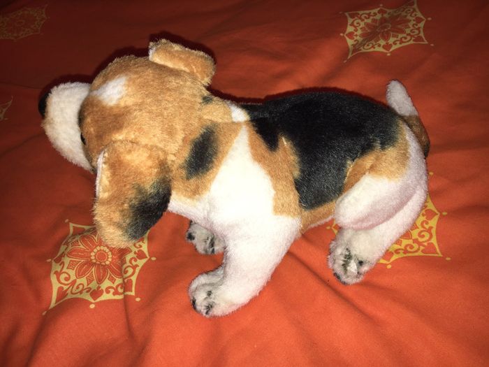 Peluche chien - photo numéro 4