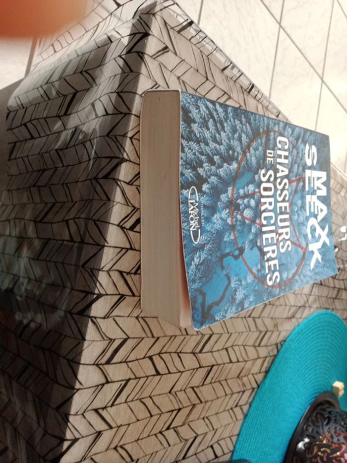 Livre " Chasseurs de sorcières " - photo numéro 4