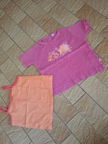 Lot 2 t-shirts / Taille 2 ans