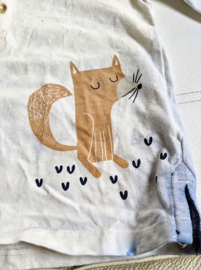 Tee shirt chien et polo renard - photo numéro 5