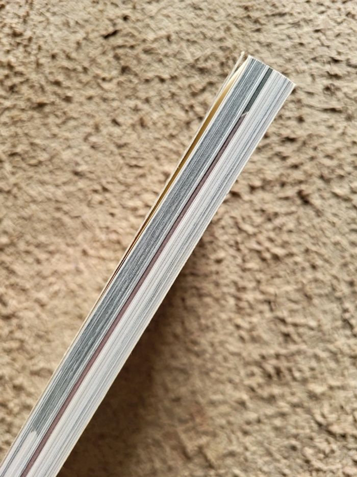 Dirty Dancing, Das Buch zum Film (en allemand) - photo numéro 3