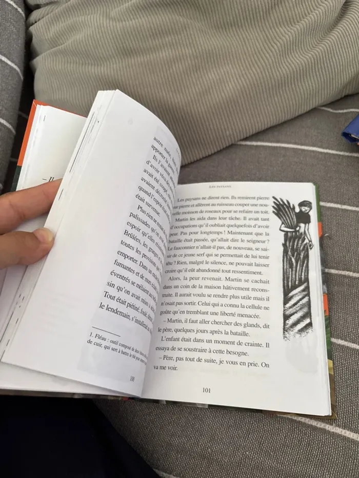 Livre le faucon déniché - photo numéro 4