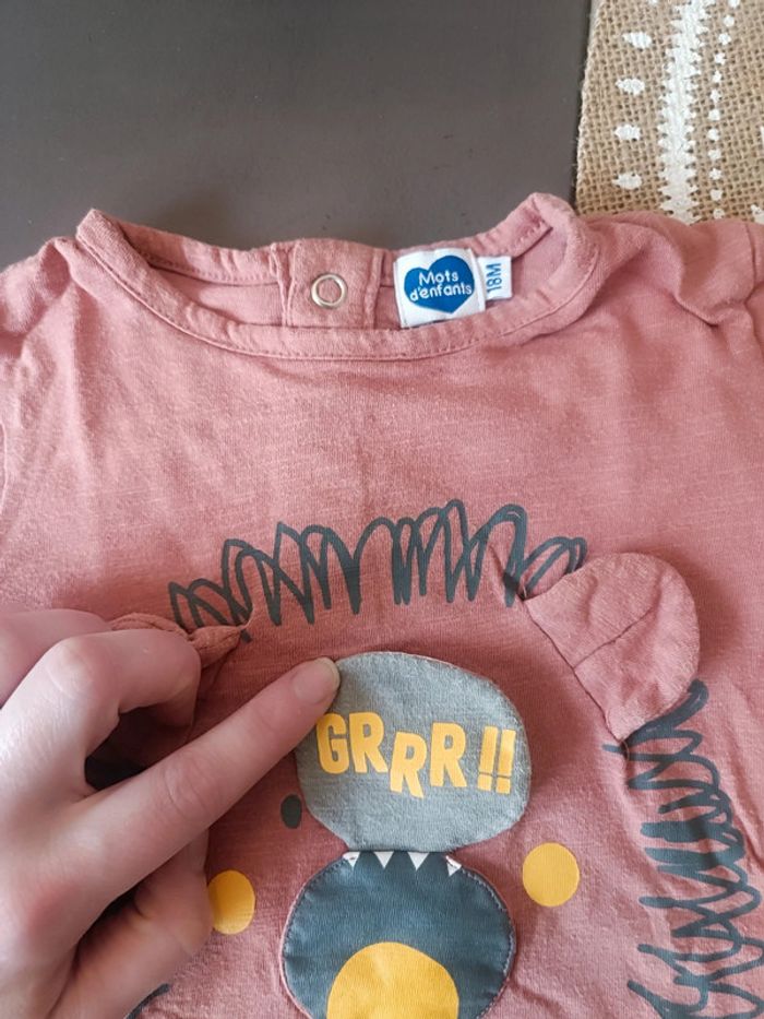 🐼 Lot Tee-shirts taille 18mois - photo numéro 6